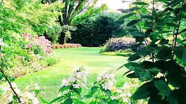 Photo de The gardens of Martels