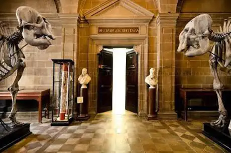 Photo de The Anatomical Museum The University of Edinburgh