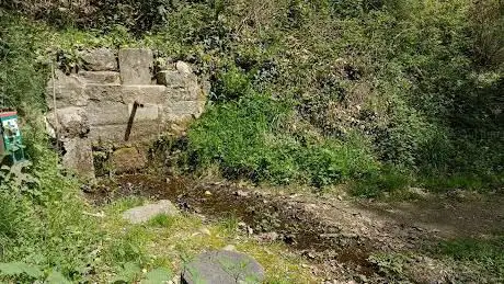 Photo de Font dels Abeuradors