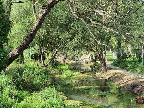 Photo de Lungofiume Foce di Sarno
