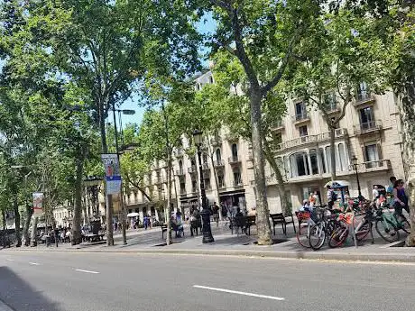 Photo de Rambla de Canaletes