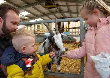 Photo de Barleylands Farm Park