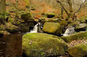 Photo de Padley Gorge