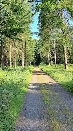 Photo de Egelser Allee Weg - Egelser Wald