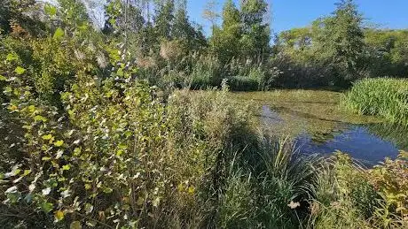 Photo de Marchfelder Teich der Ruhe
