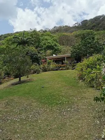 Photo de Jardin Creole Ecotours