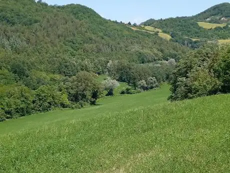 Photo de Sentiero Il Fosso del tasso
