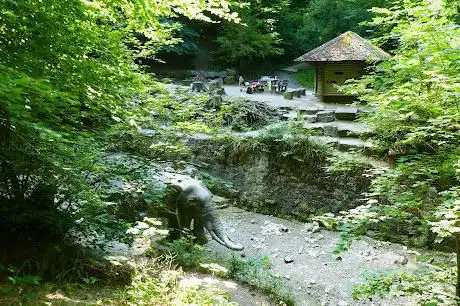 Photo de Elefant