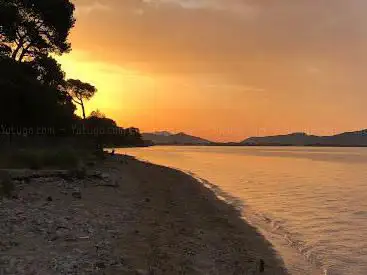 Photo de Plage naturiste des vieux salins d hyères