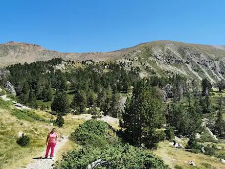 Photo de Salt d'aigua del riu del MolÃÂ