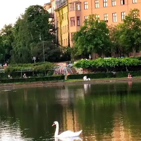 Photo de Kanarya Parkı