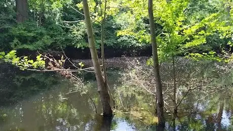 Photo de Schildkrötenteich Waiblingen