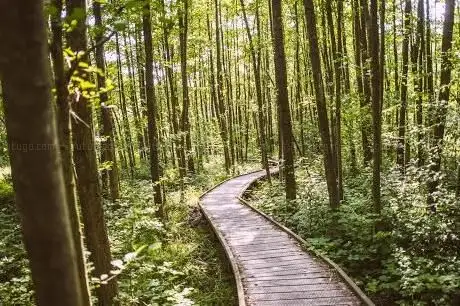 Photo of Domein Kiewit