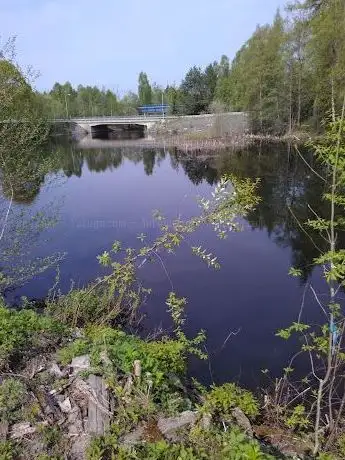 Photo de Skinnskattebergs Hembygdsförening