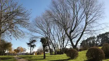 Photo de Parque Ria del Carmen