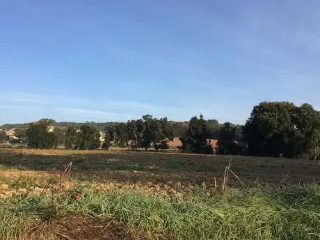 Photo de Camí Ral de Sant Antoni