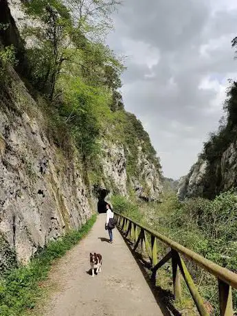Photo de Senda del oso