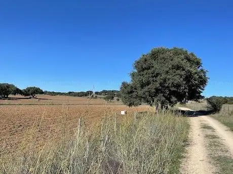Photo de Ecopista do Ramal de Mora