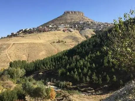 Photo de Şeyhmus Erginoğlu Ormanı