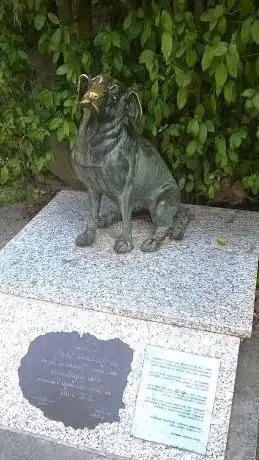 Photo de Scultura Di Pippo Cane Senza Padrone