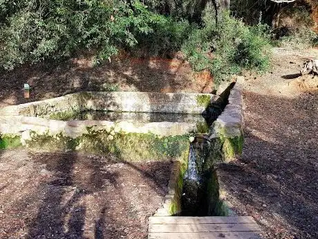 Photo de La Font de Can Moragues