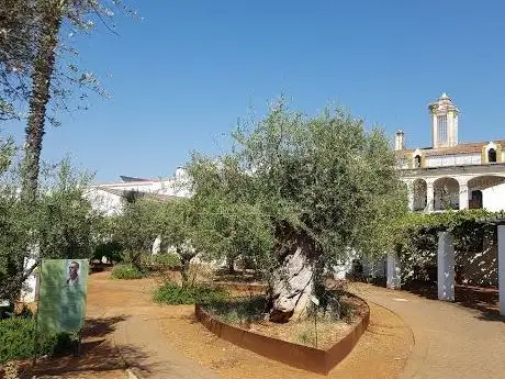 Photo de Jardim das Oliveiras