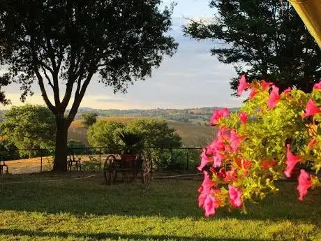 Photo de Sundara Yoga Teacher Training