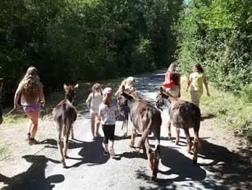 Photo de Murmur'ânes aux Millevents