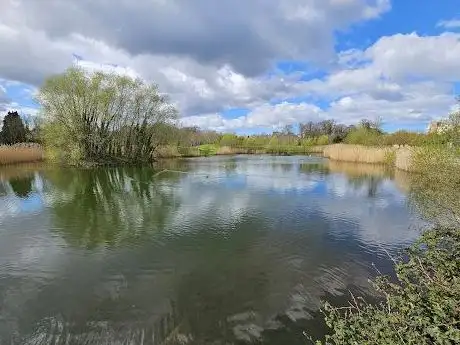 Waterville Park