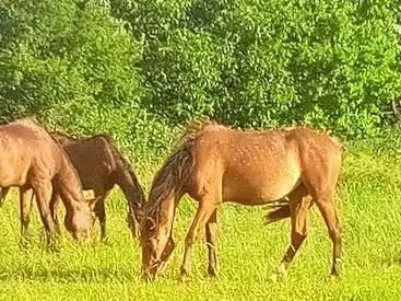 Photo de Painted Jewel Ranch