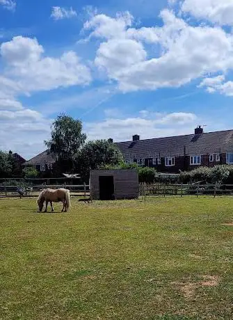 Photo of Nunny's Farm