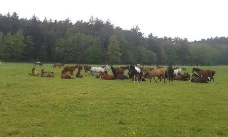 Photo de Pferdeland Unterbronnen