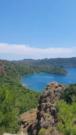 Photo de Dolphin Bay