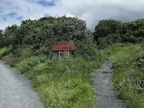 Irishtown Nature Park