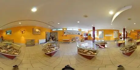 Photo de Musée de Préhistoire de Tautavel