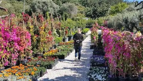 Photo de Botanik Bahçesi