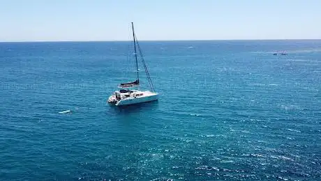 Photo de Whale Watching Tenerife : Blueoceanyachtcharter