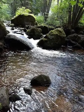 Photo de Studánka na Opatské stezce