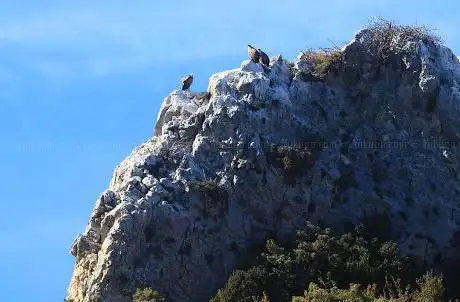 Photo de Observatorio de aves