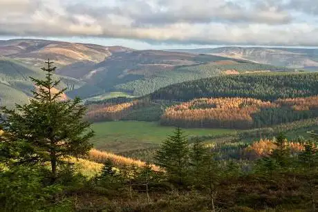 Photo de Minch Moor