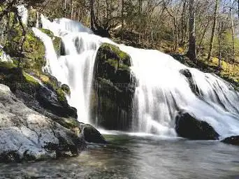 Photo de Cascade Du Pissieu