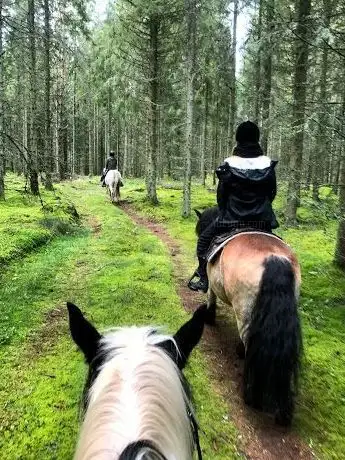 Photo de Saläng Horse Camp