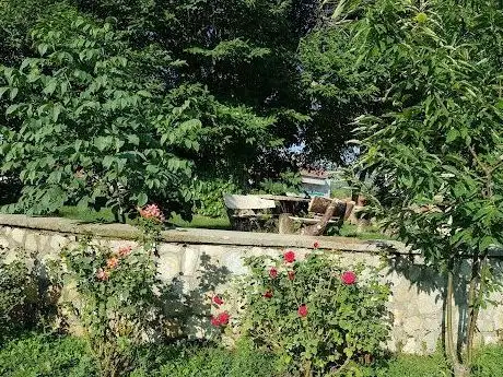 Photo de Child park
