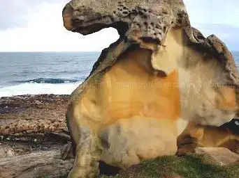 Photo de Paramoudra lekua