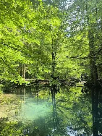 Photo de Cheile Nerei - Beuşniţa