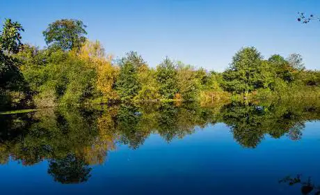 Photo de Westhorpe Park
