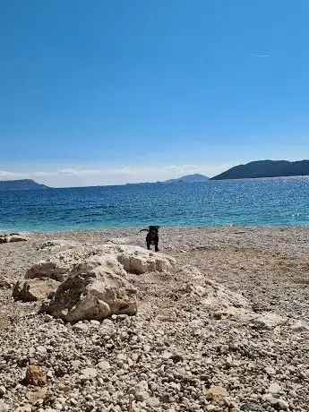 Photo de Halk Plajı