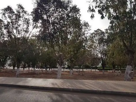 Photo de منتزه 