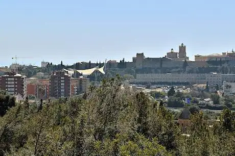 Photo de FortÃ­ de l'Oliva