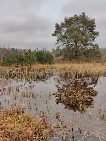 Photo de Uitkijkpunt Brunssummerheide